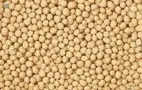 Soybean [GMO]