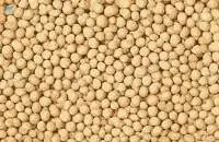 Soybean Meal [GMO]