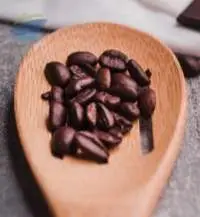 Organic Raw Cocoa Beans Premium Grade