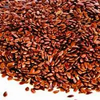 Flax Seed