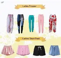 Ladies Trouser And Short Pant