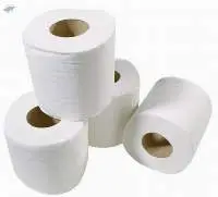 Toilet Paper Roll
