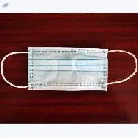 Protective Mask 3 Ply