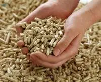 Biomass Briquettes Pellets