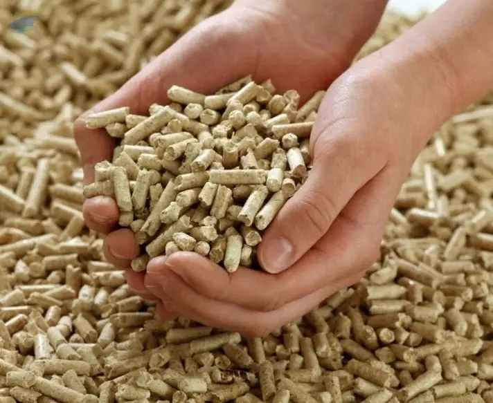 Biomass Briquettes Pellets