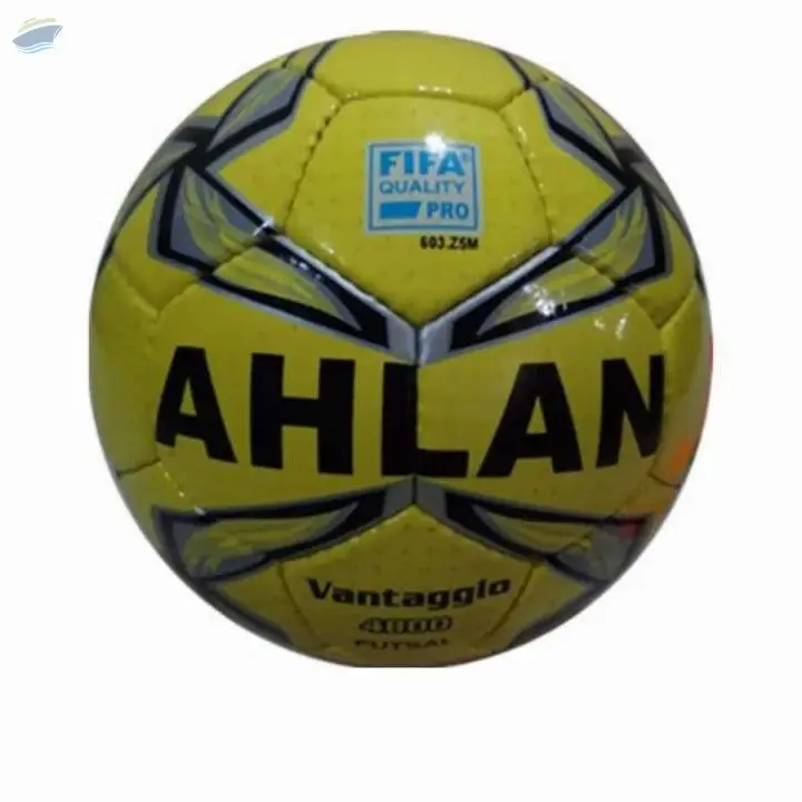 Football / Soccer Ball