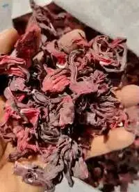 Hibiscus OR Roselle