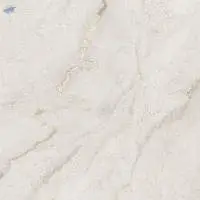 Polished Tile