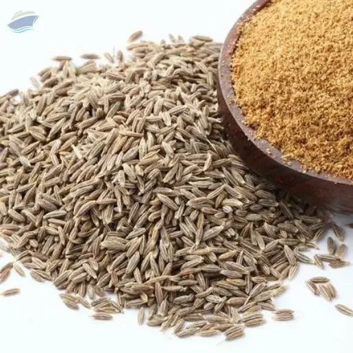 Cumin Powder
