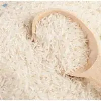 Non Basmati Rice