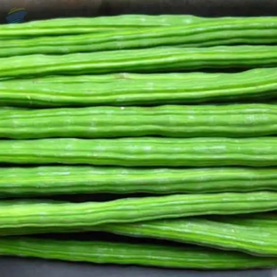 Drum Sticks