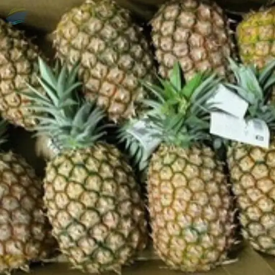Pineapple
