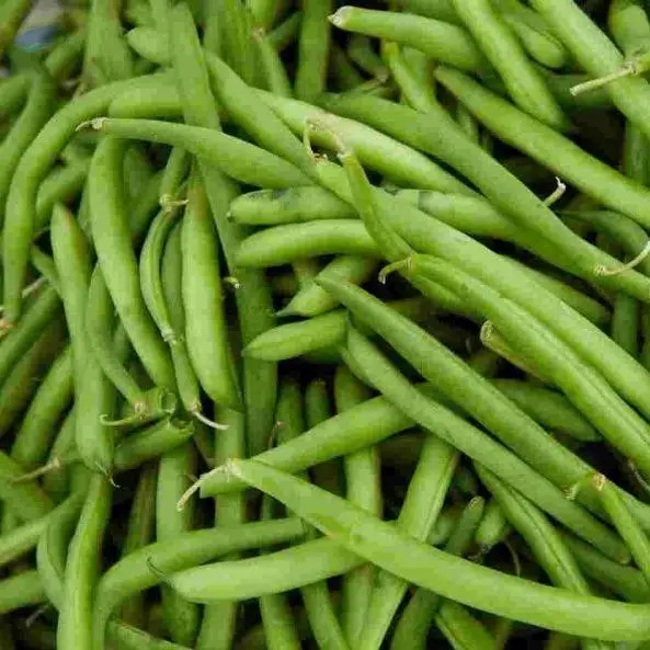 French Beans