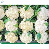 Cauliflower