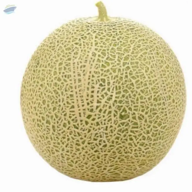 Melon