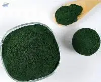 Spirulina Powder