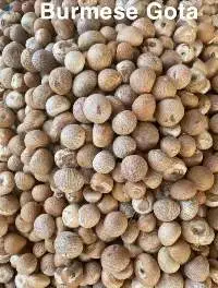 Betel Nuts