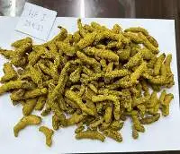Dried Turmeric Finger