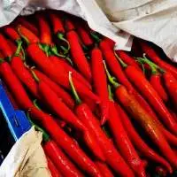 Thai Red Chilli