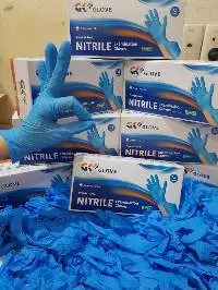 Vietnamese Nitrile Gloves 