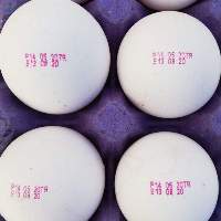 Turkish Egg
