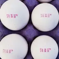 Turkish Egg