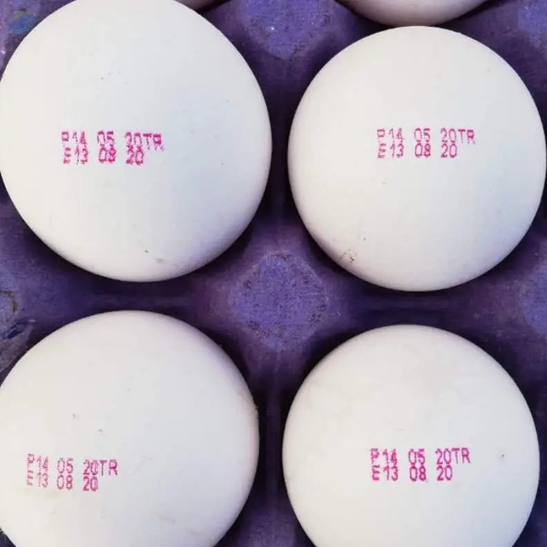 Turkish Egg