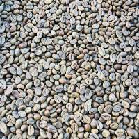 Robusta Green Bean