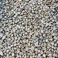 Robusta Green Bean