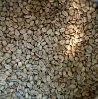Arabica Arjuno