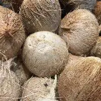 Husk Coconut