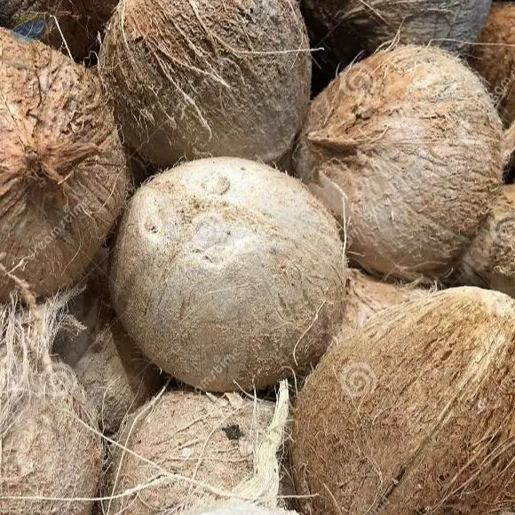 Husk Coconut