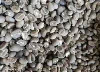 Arabica Gayo Specialty
