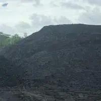 Steam Coal