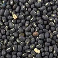 Black Gram