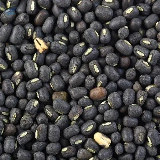 Black Gram