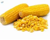 Sweet Corn