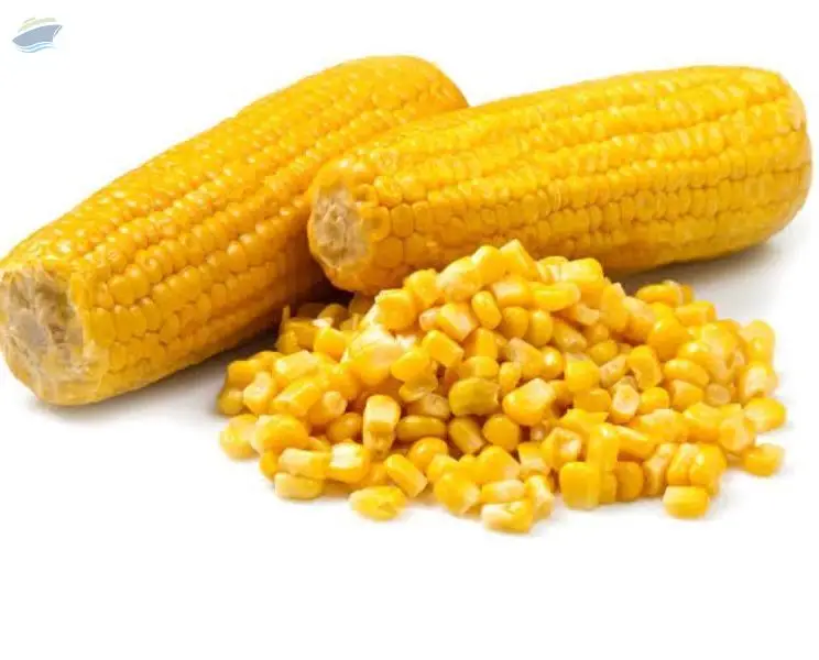 Sweet Corn