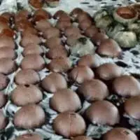 Palm Sugar ( Original )