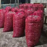 Shallots (Red Onion)
