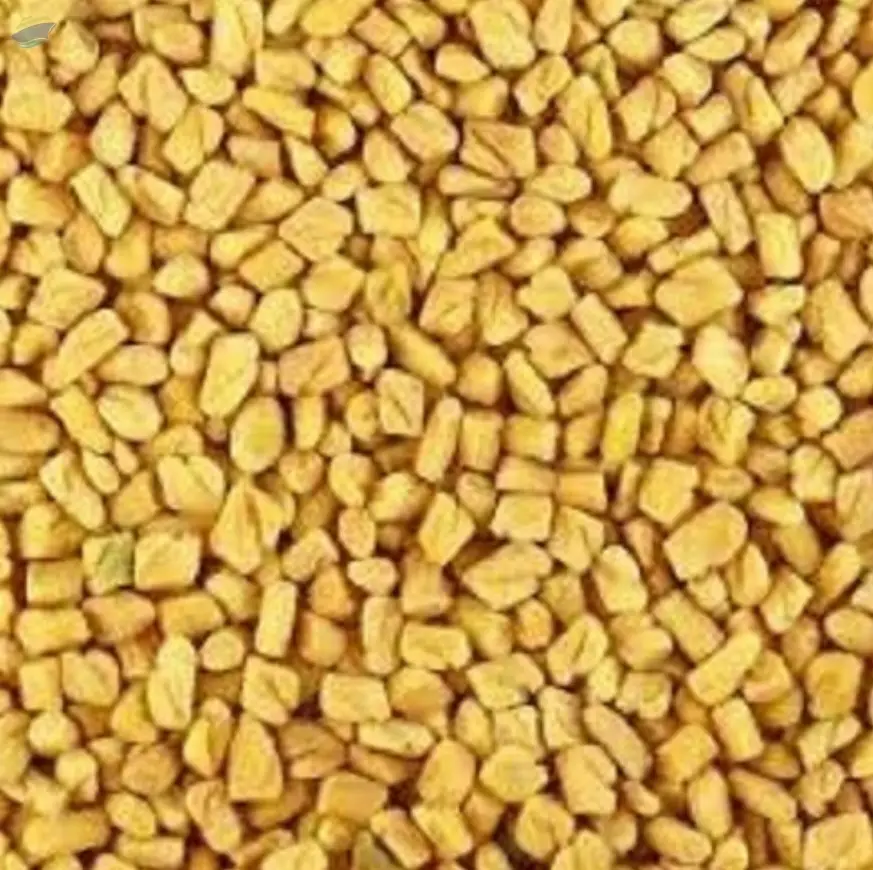 Fenugreek Seeds by Carewell Impex. Supplier from India. Product Id 1589419.