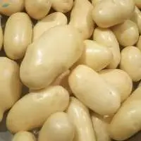 Potatoes