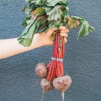 Beetroot