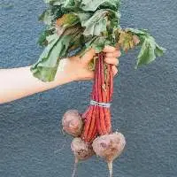 Beetroot