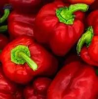 Red, Green, Yellow Bell Pepper