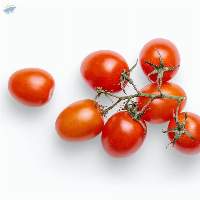 Cherry Tomato