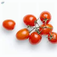 Cherry Tomato