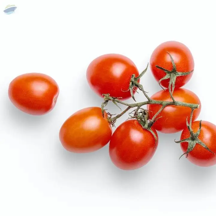 Cherry Tomato