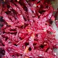 Dried Red Chilli