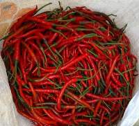 Red Chilli
